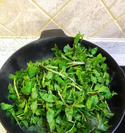 以煮狗结叶——传统狗肉美食的制作方法（如何制作地道的煮狗结叶？煮狗结叶）