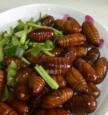 美味可口的炸柞蚕蛹（传统美食新变化，柞蚕蛹的炸法你一定要知道！）