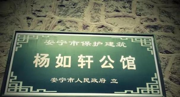 油菜珍珠琪做法全解析（自制美味佳肴，）
