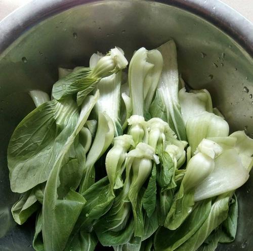 油菜炒鸡蛋的做法（简单易学的家常菜，让你轻松上桌）