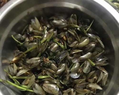 美味又健康，油爆海瓜子的做法（用少油炒出香脆美味，海瓜子成了酒吧必备小食）