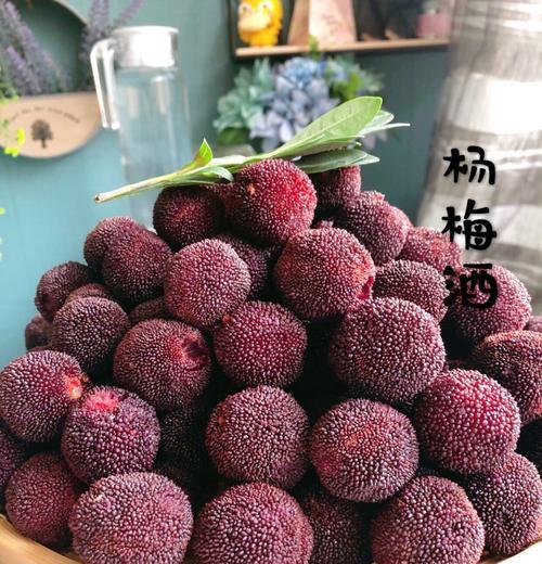杨梅糖水和杨梅酒的制作方法（香甜可口的杨梅糖水和美味醇香的杨梅酒，教你如何自制）
