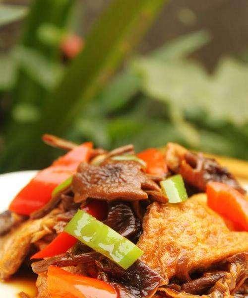 美味做法（家常菜谱教你轻松做出营养丰富的羊肉烧豆腐）