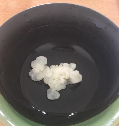 雪莲菌酸奶的制作方法（用雪莲菌制作营养丰富的酸奶）