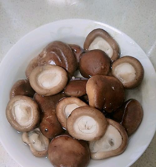 香菇炖排骨，美味健康的家常菜（香菇、排骨、蔬菜）