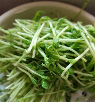 健康美味，豌豆苗炒百叶丝（一道简单易做的健康菜肴）