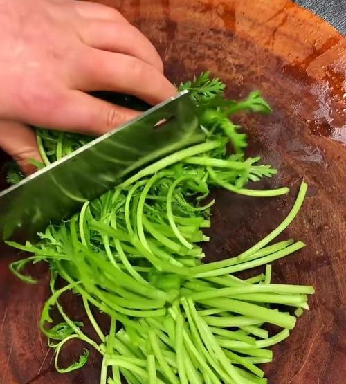 蒜香菊花菜的做法（以新鲜食材打造的美味佳肴）
