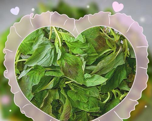 蒜味拌觅菜，清爽美味（香气四溢）