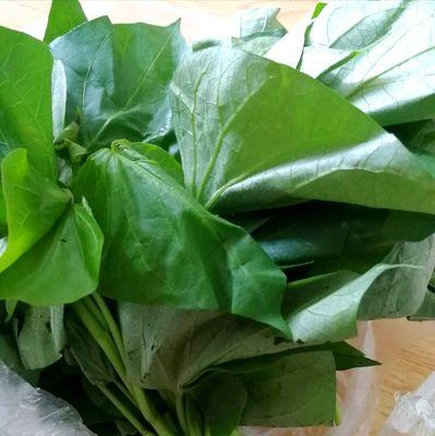 健康素食——素炒番薯苗（一道美味又营养的素菜佳肴）