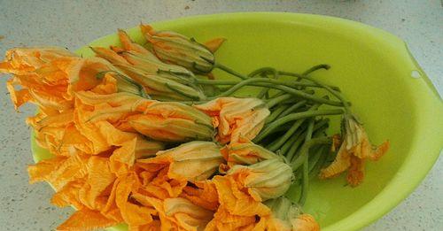 以酥炸南瓜花做法大全（让你轻松掌握做法）