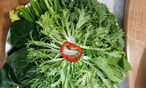 清新健康的素食佳肴，营养丰富，美味无比（清新健康的素食佳肴）