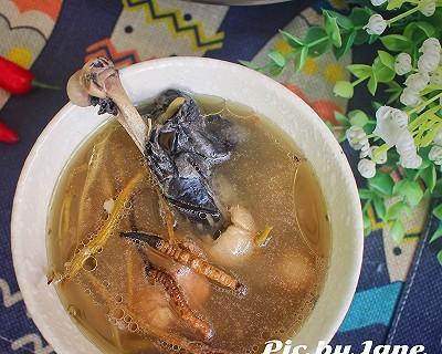 以石斛参灵芝乌鸡汤提升身体免疫力的做法（传统中药食疗的神奇组合）