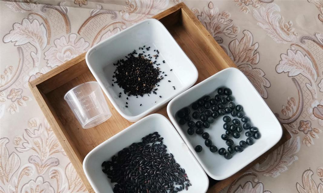 三黑豆浆制作教程（健康养生）