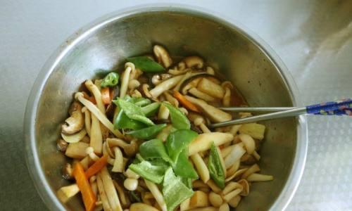 三杯杂菌的美食体验（以三杯杂菌为主菜）