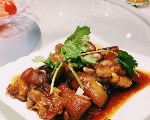 以赛珊瑚的饲养与繁殖（如何培育一片繁盛的以赛珊瑚）
