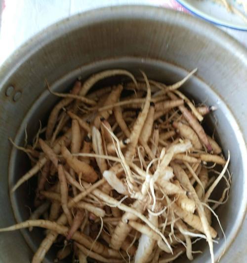以赛人参烧肉的制作方法（传统美味的佳肴）