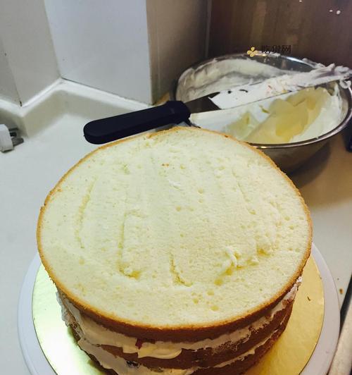 如何制作美味的乳酪饼干蛋糕（一步步教你做出口感绵软）