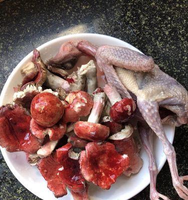 享受美食文化之乳鸽汤（传统经典）