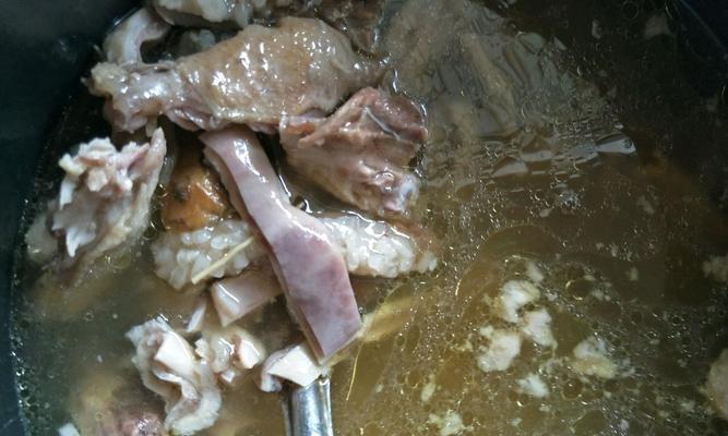 享受美食文化之乳鸽汤（传统经典）