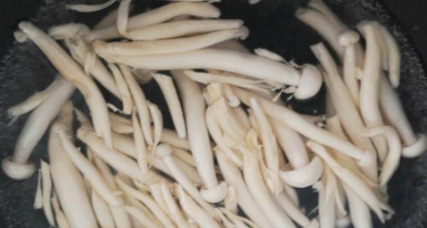 闹元宵，翡翠白玉菇乐翻天（亲手做翡翠白玉菇）