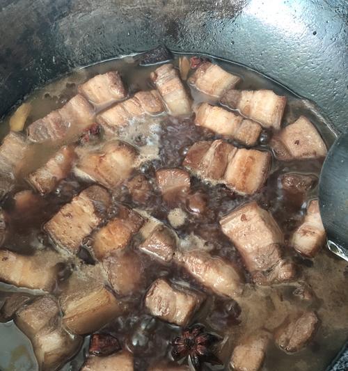 以鱼妈式红烧肉的做法，让你轻松掌握（掌握红烧肉的技巧）