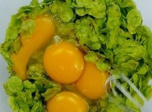 以榆钱子炒鸡蛋（一道简单易做的家常菜）
