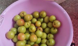 家庭DIY——腌李子做法详解（享受自然酸甜）