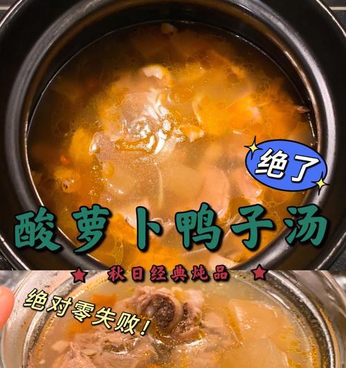酸萝卜竹笋炖鸭子，营养又美味（健康食材的组合）