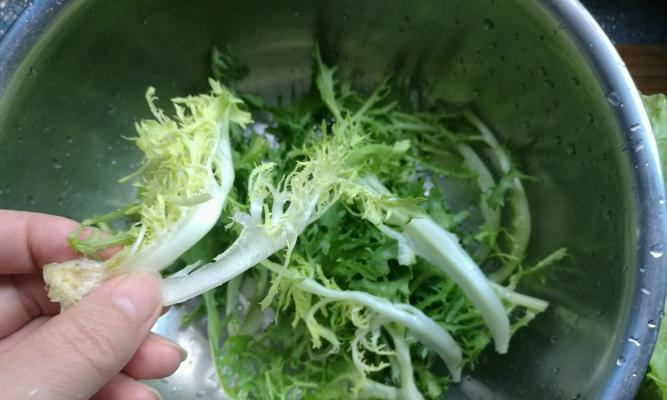 以沙拉苦菊为主角的健康美食（探寻沙拉苦菊的营养价值与制作方法）