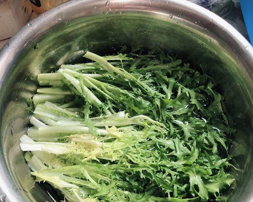 以沙拉苦菊为主角的健康美食（探寻沙拉苦菊的营养价值与制作方法）