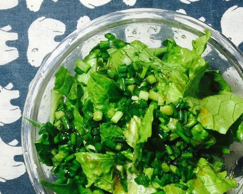 日式蔬菜冷盘制作全攻略（美味健康的日本风味蔬菜盘）