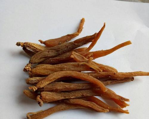 品味人参茶，畅享健康生活（掌握制作方法）