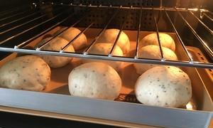 全麦亚麻籽无糖无油欧包制作教程（营养健康的欧包）
