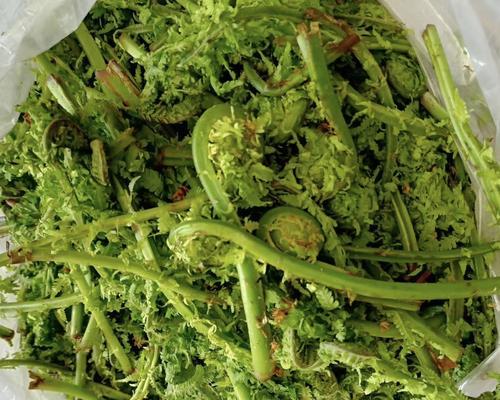 柴火野菜袪火汤怎么做？祛火效果如何？