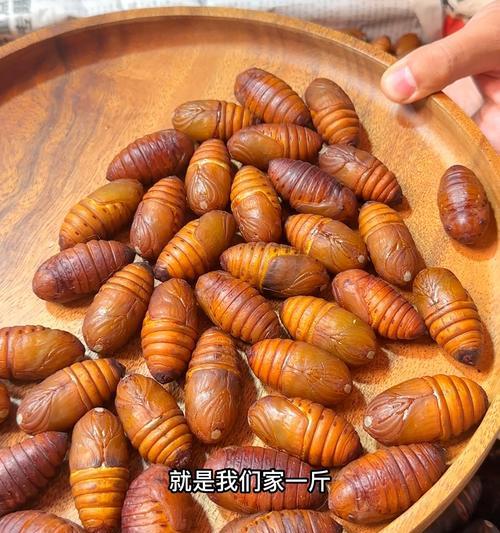 蚕蛹大骨汤怎么做？有哪些健康益处？