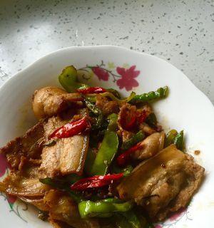 菜椒炒肉片的做法是什么？如何快速掌握这道家常菜的烹饪技巧？