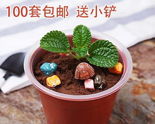 奥利奥盆栽冰淇淋怎么做？步骤和材料有哪些？
