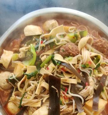 猪肉粉条烩菜怎么做？步骤详解和常见问题解答？