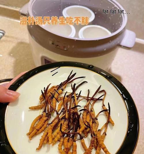 猪肉炖冬虫草怎么做？步骤和注意事项是什么？