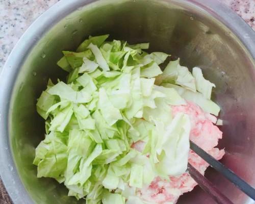 猪肉白菜锅贴怎么做？步骤详解和常见问题解答？