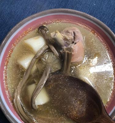 猪肚玉米茶树菇汤的做法是什么？如何做出美味的汤品？