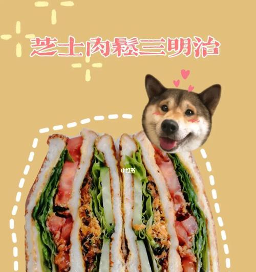 照烧猪肉三明治怎么做？步骤和技巧是什么？