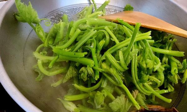 蘸汁南瓜藤怎么做？有哪些步骤和技巧？