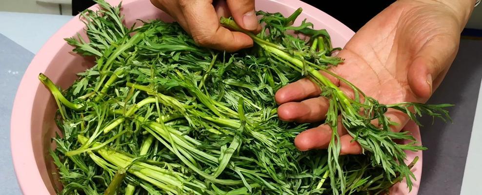 如何制作蘸酱菜柳树芽？蘸酱菜柳树芽的正确做法是什么？