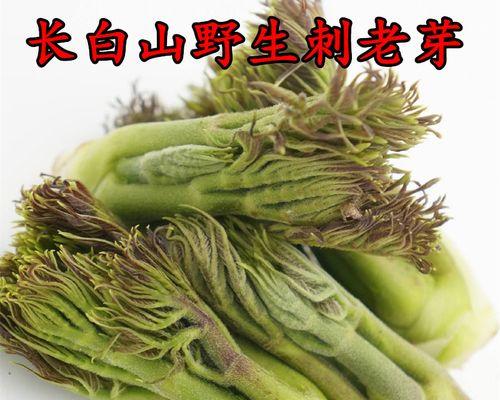 如何制作蘸酱菜柳树芽？蘸酱菜柳树芽的正确做法是什么？