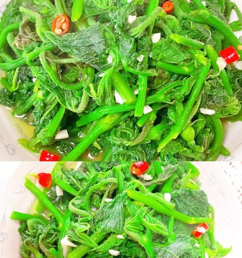 沾水南瓜尖怎么做？详细步骤和技巧是什么？