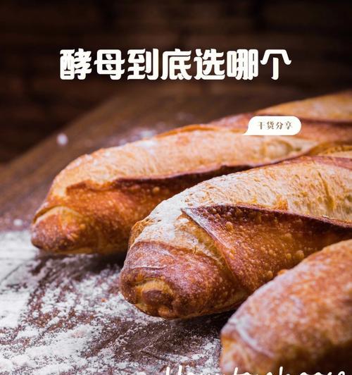 醡酱草面包怎么做？有哪些步骤和技巧？