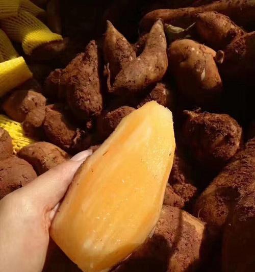 炸雪莲果条怎么做？步骤是什么？