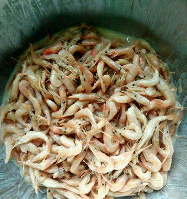 炸小虾怎么做才酥脆？家庭版炸小虾的详细步骤是什么？