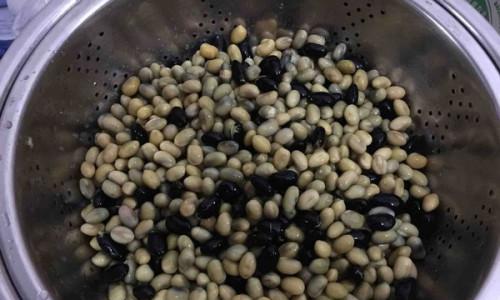 营养互补黑豆豆浆怎么做？有哪些健康益处？
